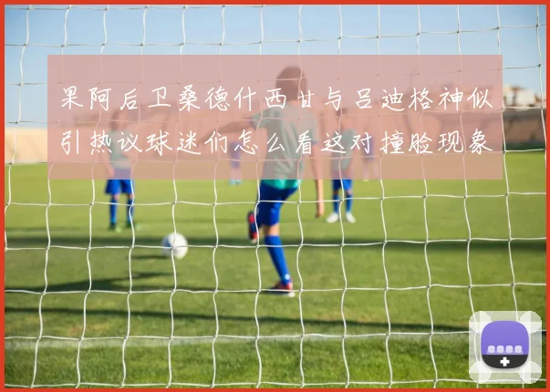 果阿后卫桑德什西甘与吕迪格神似引热议球迷们怎么看这对撞脸现象
