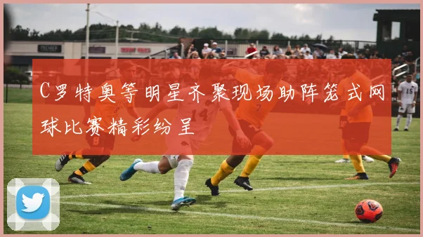 C罗特奥等明星齐聚现场助阵笼式网球比赛精彩纷呈