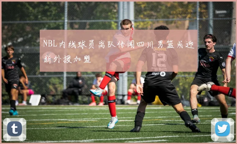 NBL内线球员离队传闻四川男篮或迎新外援加盟